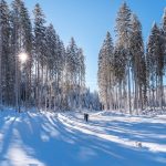 Pogoda w Zakopanem: Przewodnik po zmiennych warunkach atmosferycznych w polskiej stolicy zimowych sportów
